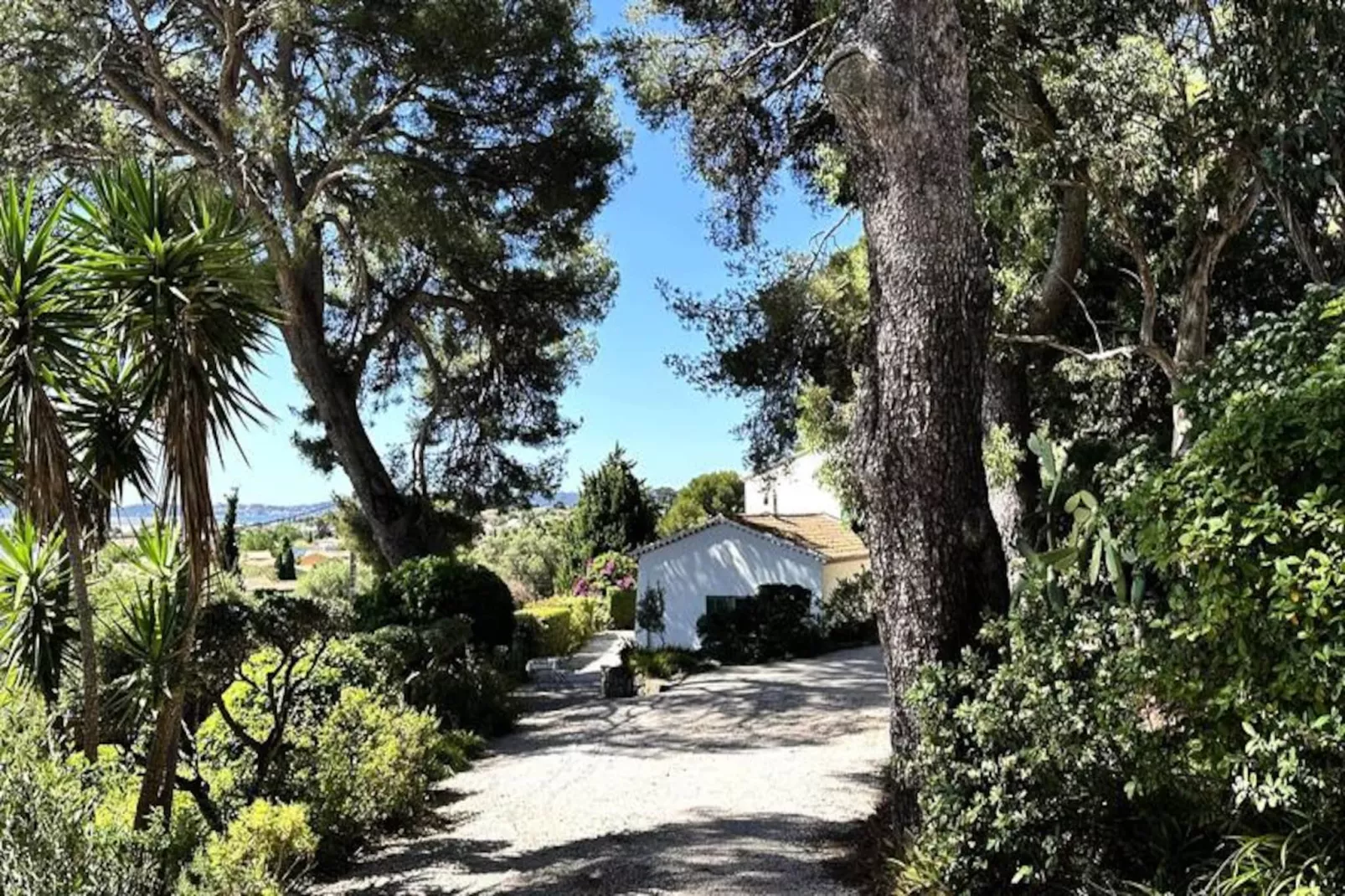 Résidence La Tancade-hyeres-Untagged