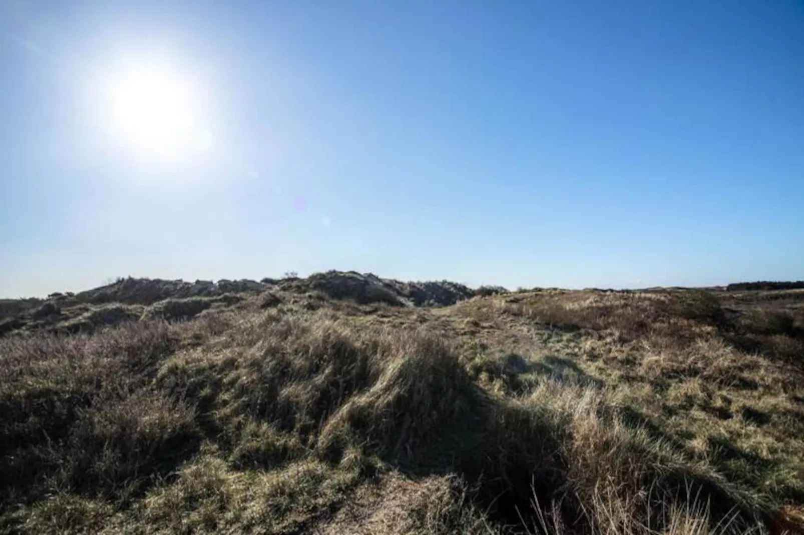 Studio Jadana-Untagged