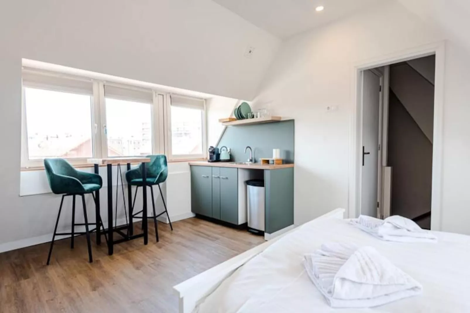 Albatros Aan Zee - Studio-Non tagué