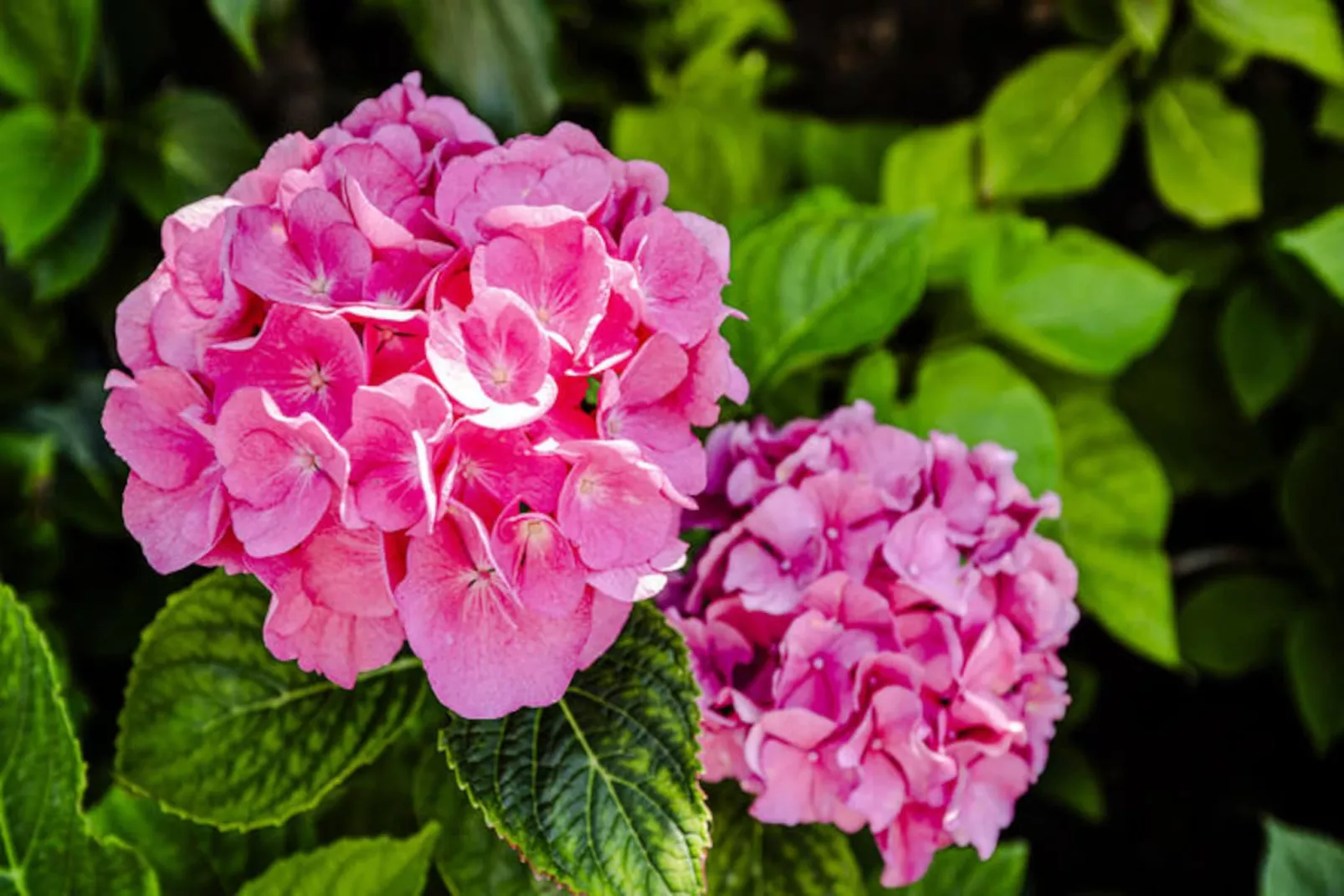 Bed And Beach-Non tagué