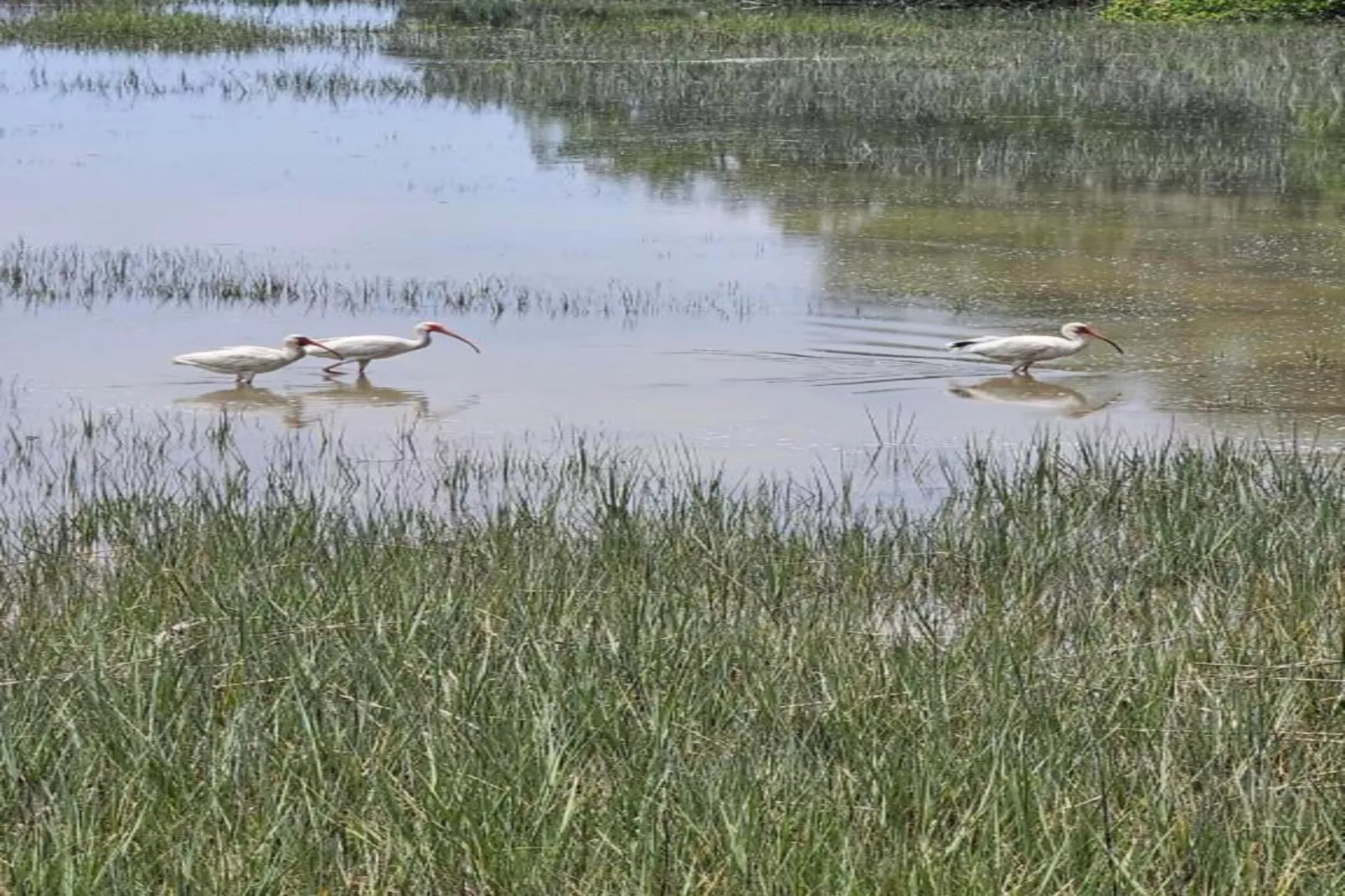 Résidence La Clé des Cimes 1-S4-Areas within 20km in summer
