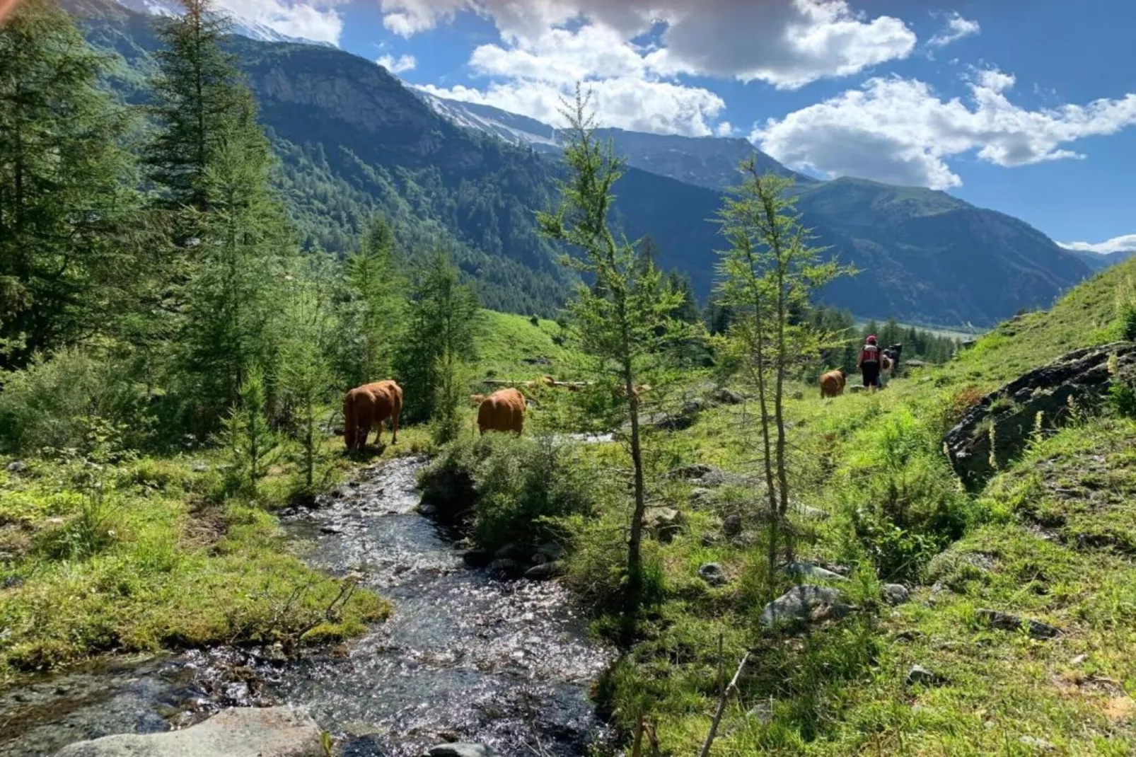 Chalets Les Amis 2-Gebiete Sommer 20 km