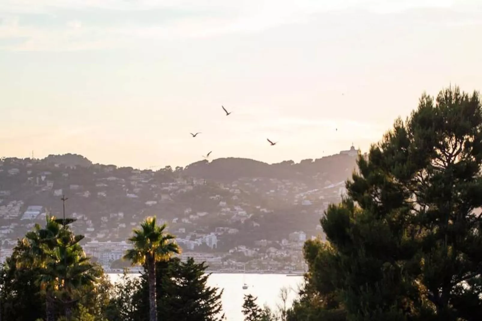 06k2 - Joli Studio Climatisé - Terrasse Vue Mer-Nicht zugeordnet