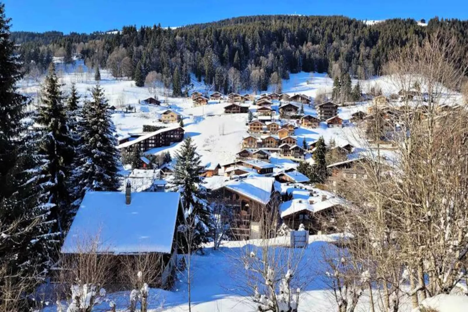 Résidence Helios-Nicht zugeordnet