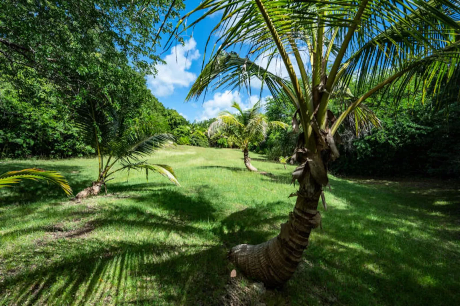 Villa Bwacajou - Non tagué