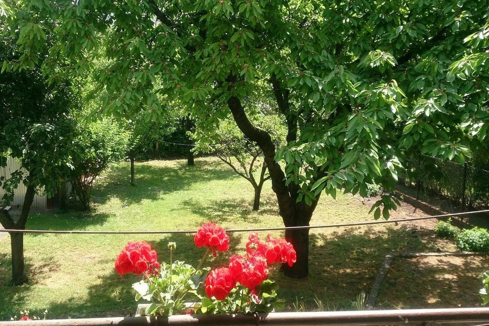 Ferienhaus in Budapest mit großem Garten-Gardens in summer