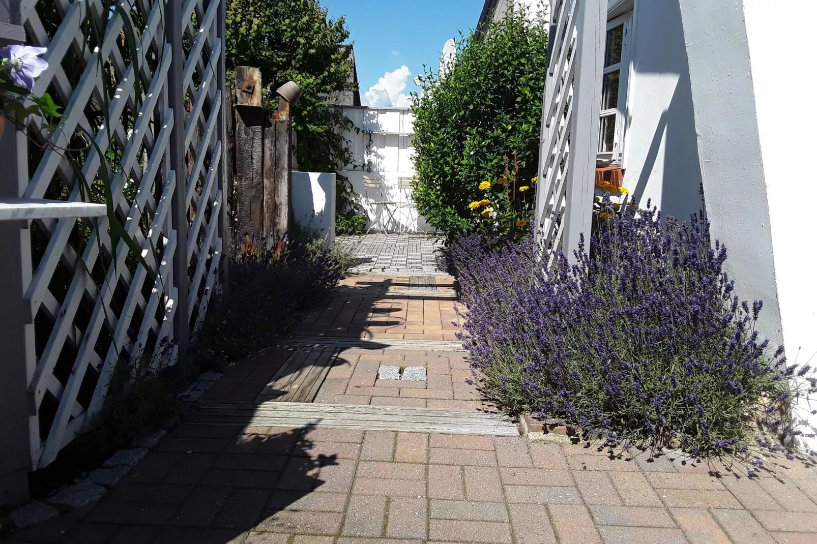 Ferienhaus in Zempin-Gardens summer