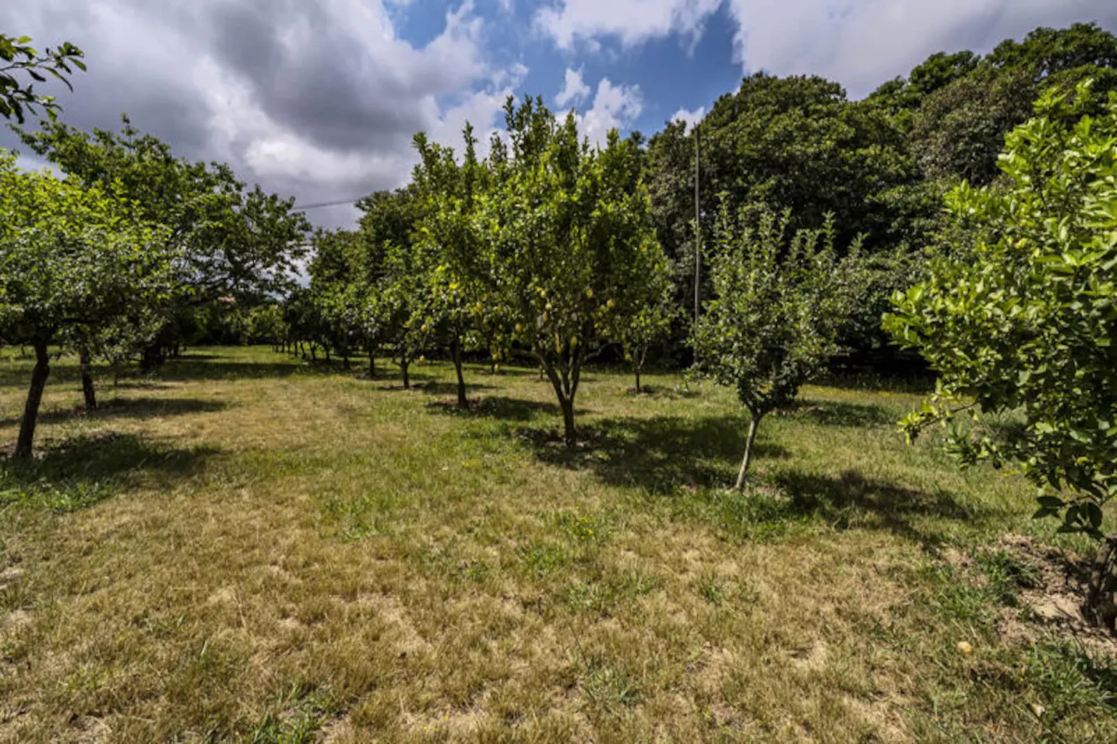 Maison à Santa Maria da Feira-Untagged