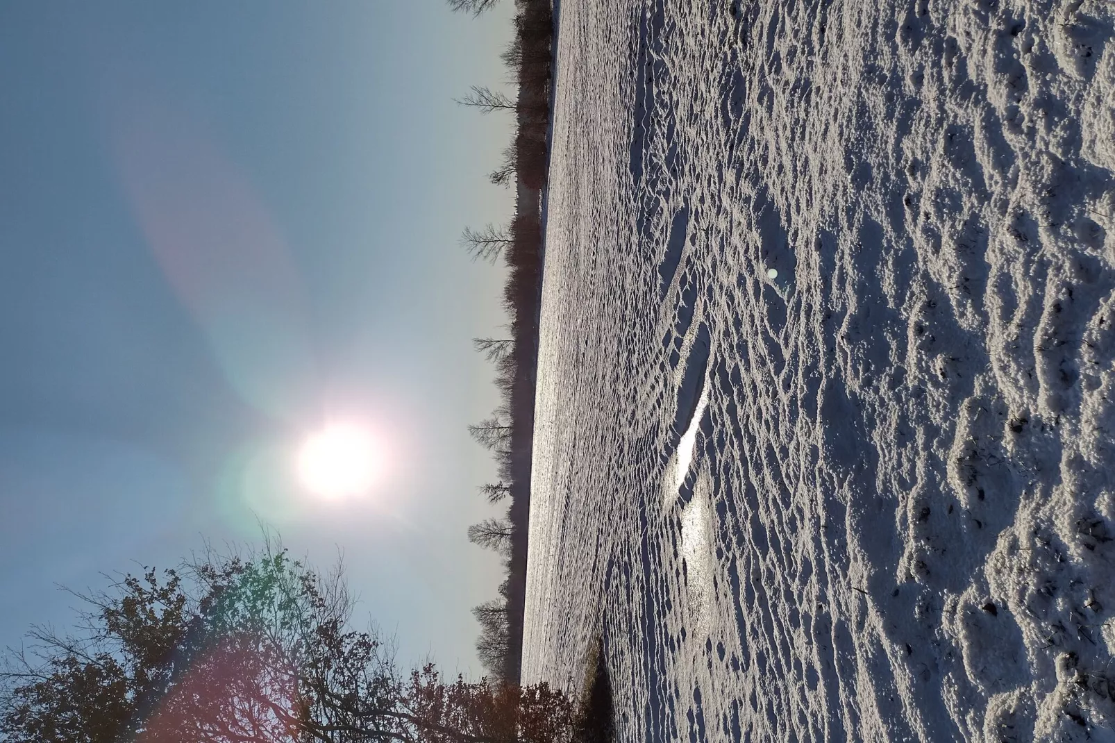"An der Treene"-Gebiet Winter 1 km