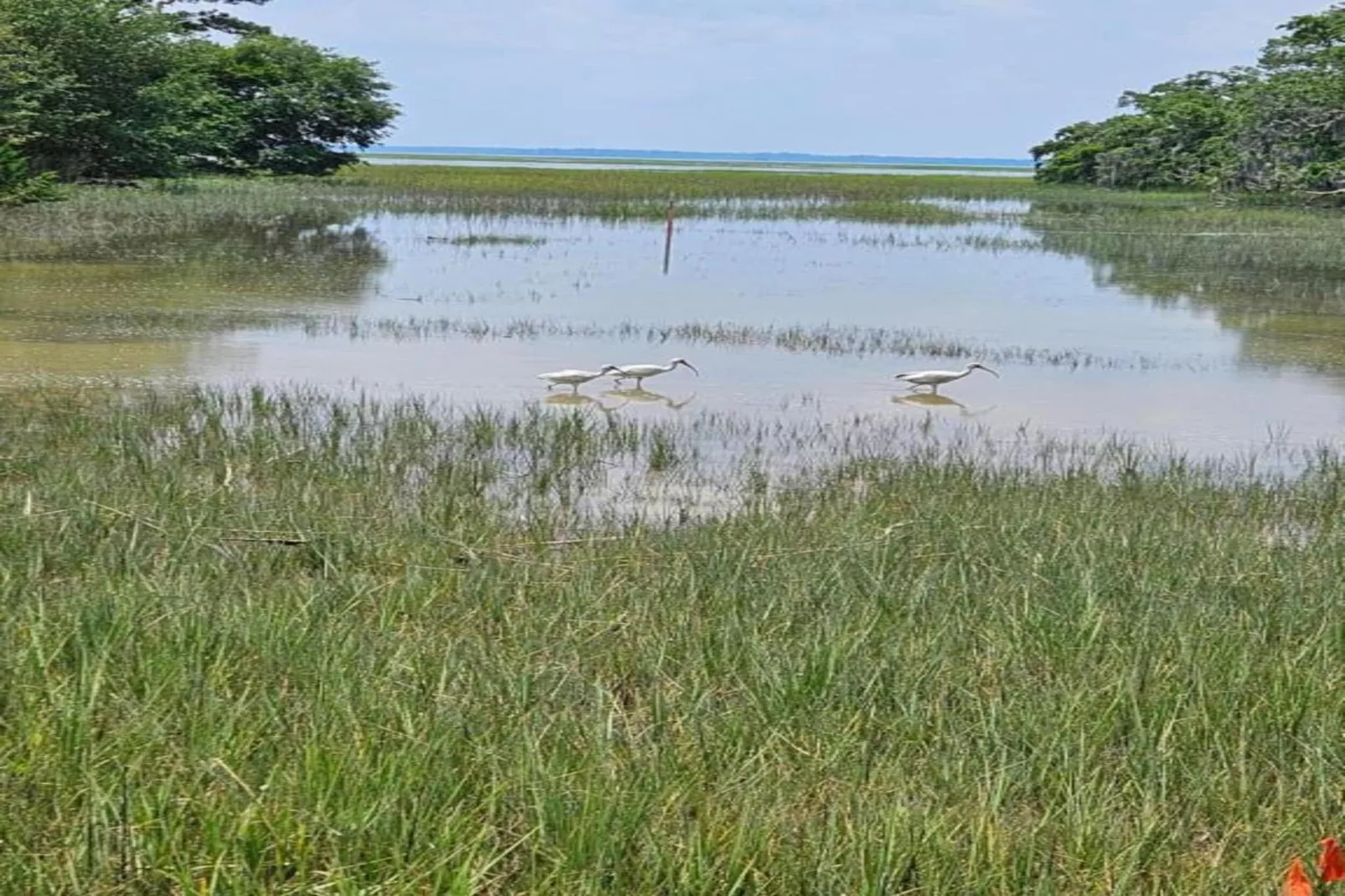 Résidence La Clé des Cimes 1-S4-Areas within 20km in summer