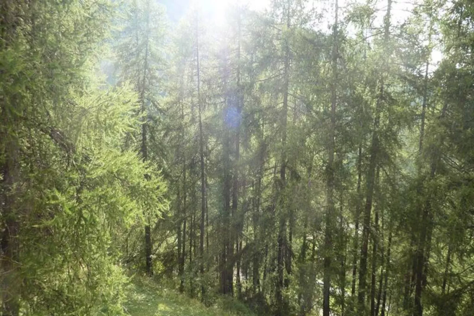 Résidence La Chamoisiere-Untagged