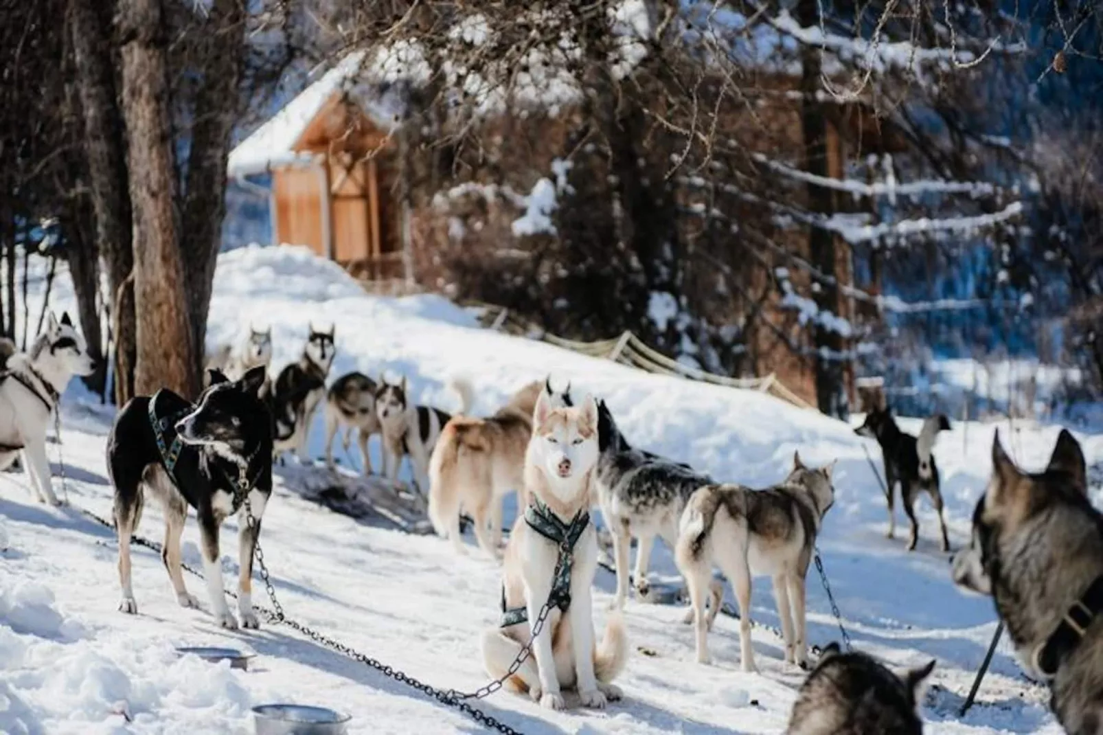 Résidence Les Logis d'Orres ***-Untagged