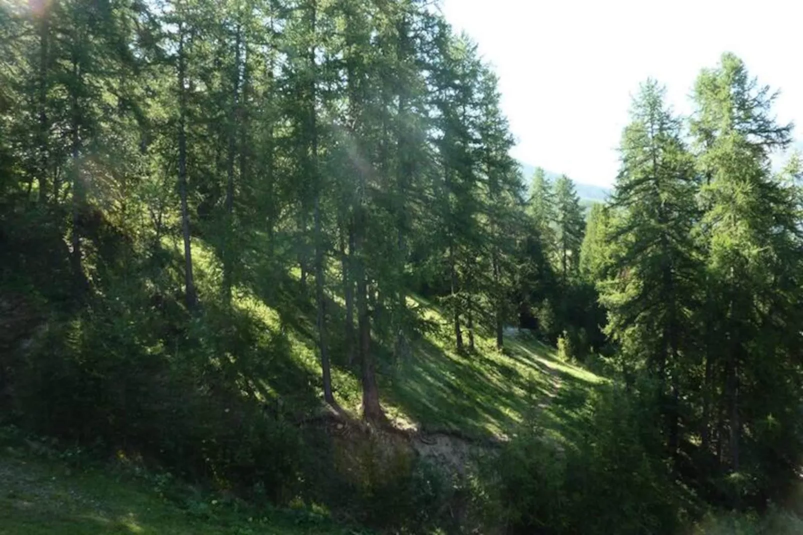 Résidence L'eperviere-Untagged