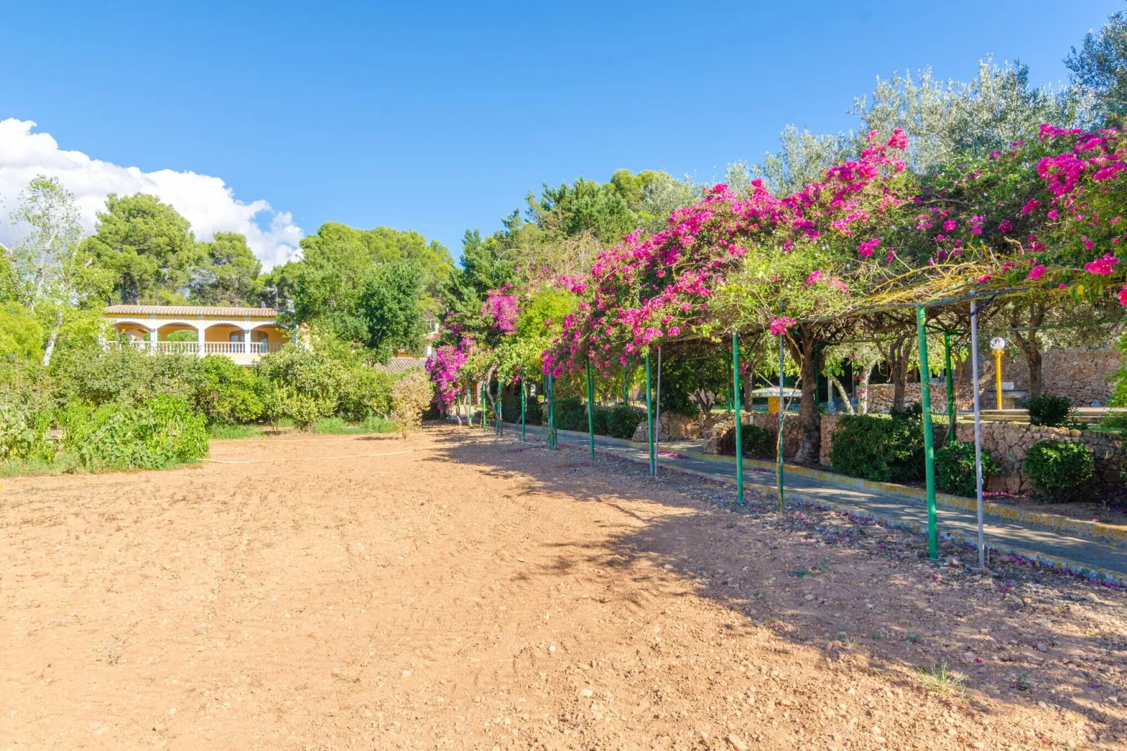 Finca Son Pou-Exterior summer