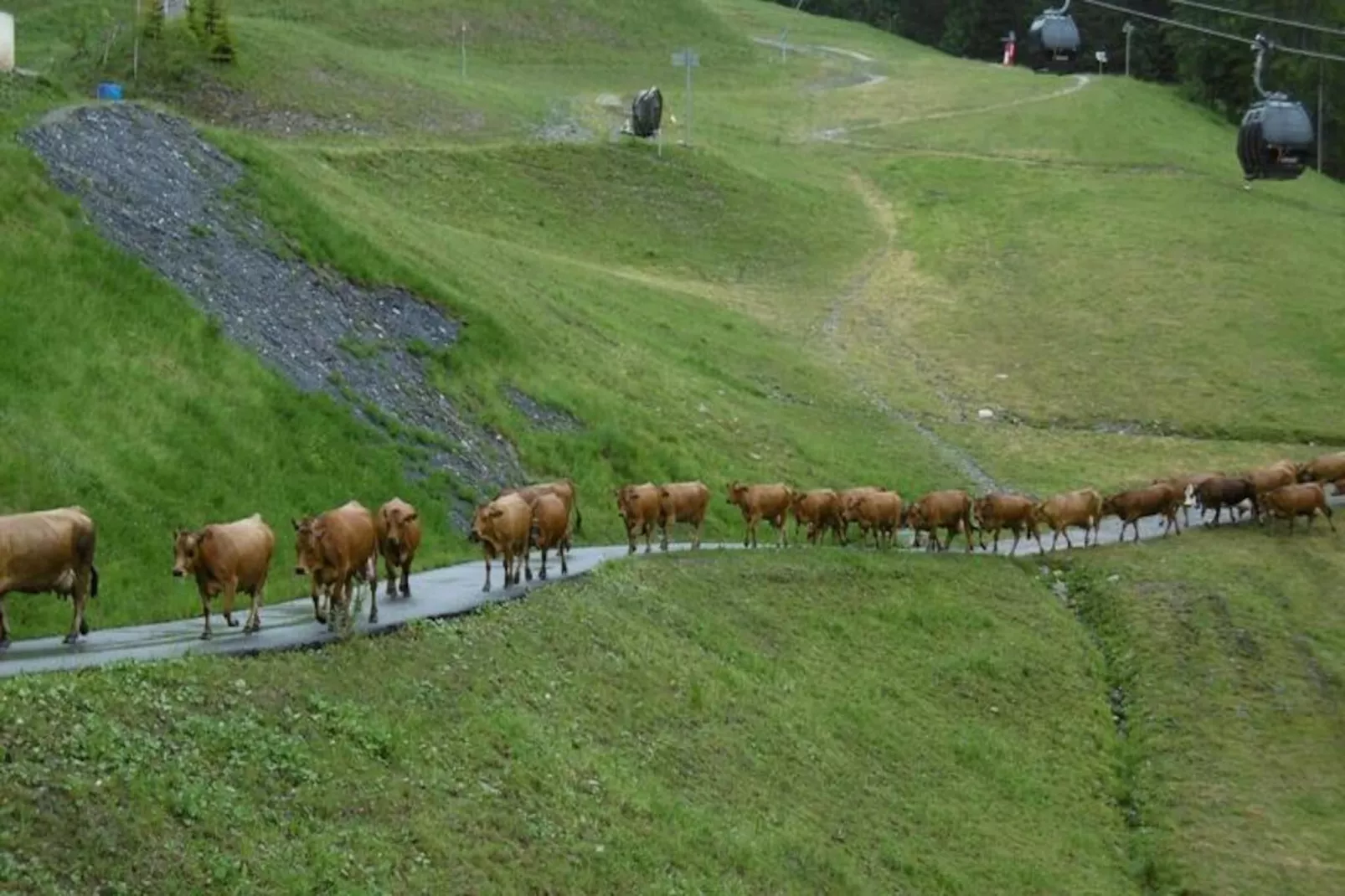 Résidence Pierrafort G-Untagged