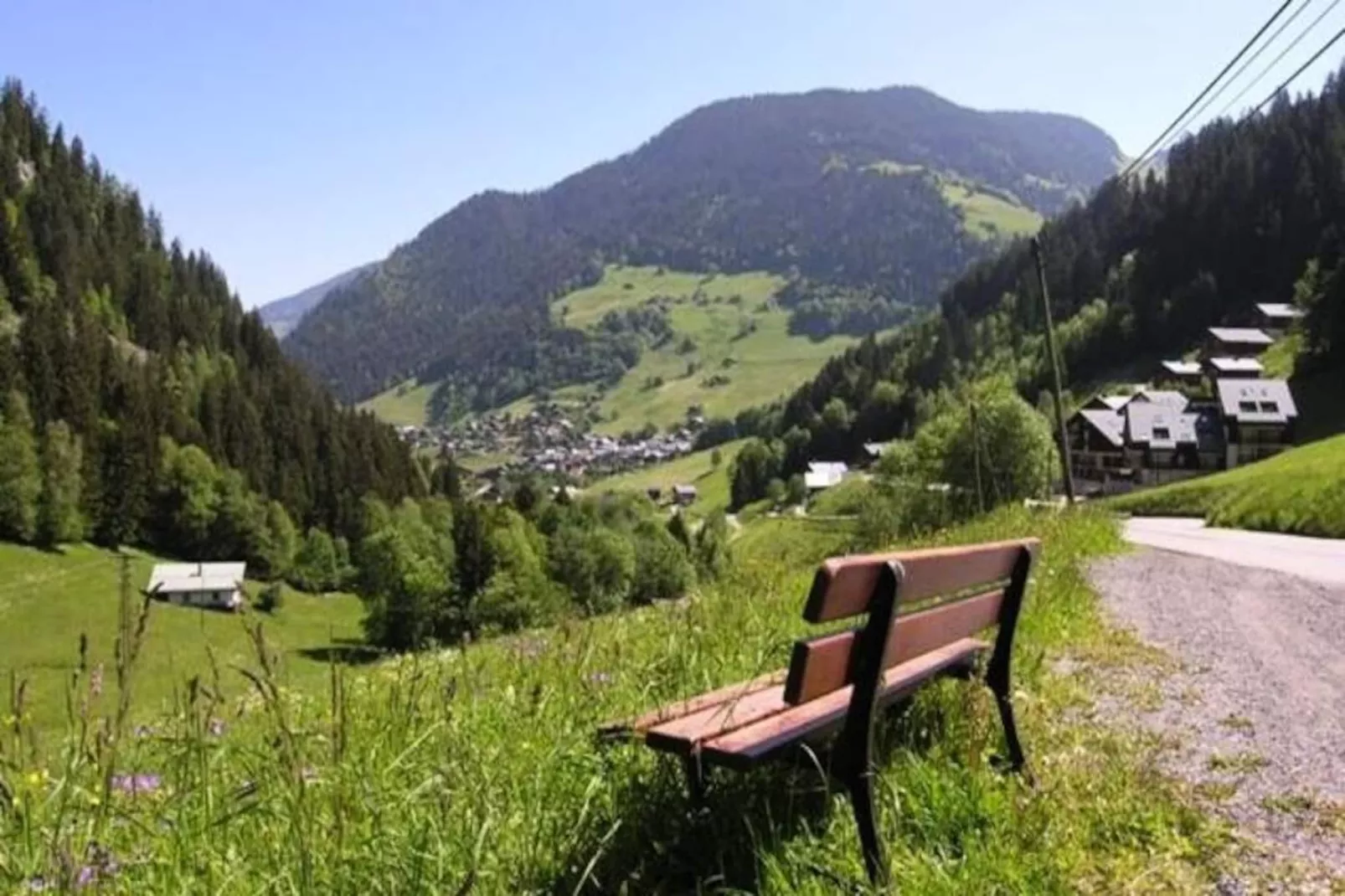 Résidence Primevere-argentine - Untagged