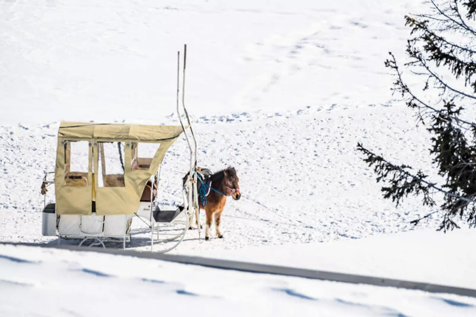 Résidence Armaillis-Untagged