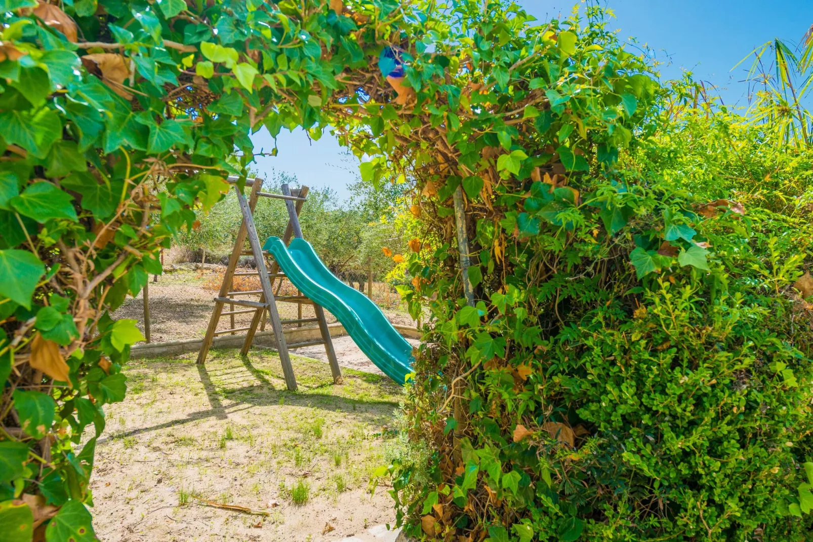 Son DurÍ-Exterior summer