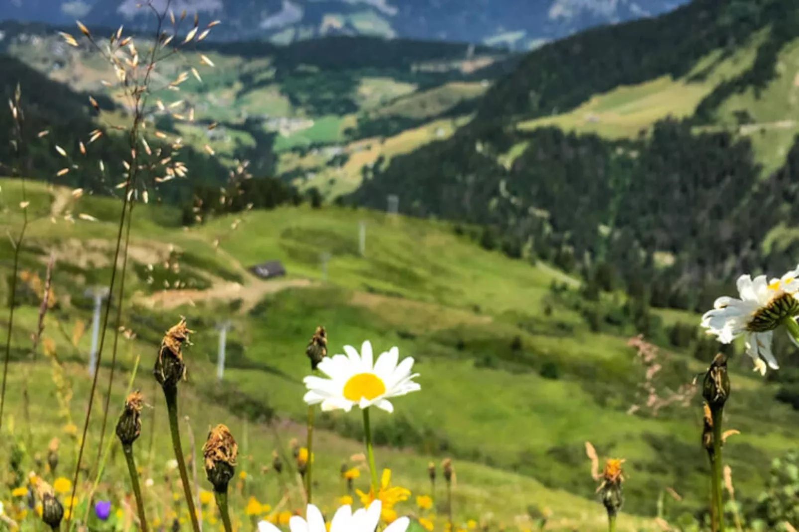 Résidence Les Alpages-Non tagué