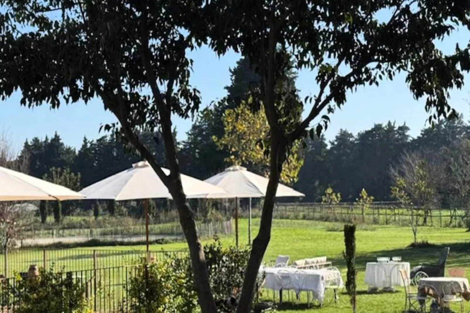 Magnifique Maison Bourgeoise R&eacute;nov&eacute;e Avec &eacute;l&eacute;gance Et Style Art D&eacute;co-Untagged