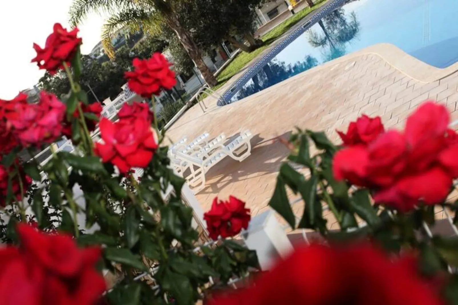 Maison à Albufeira-Untagged