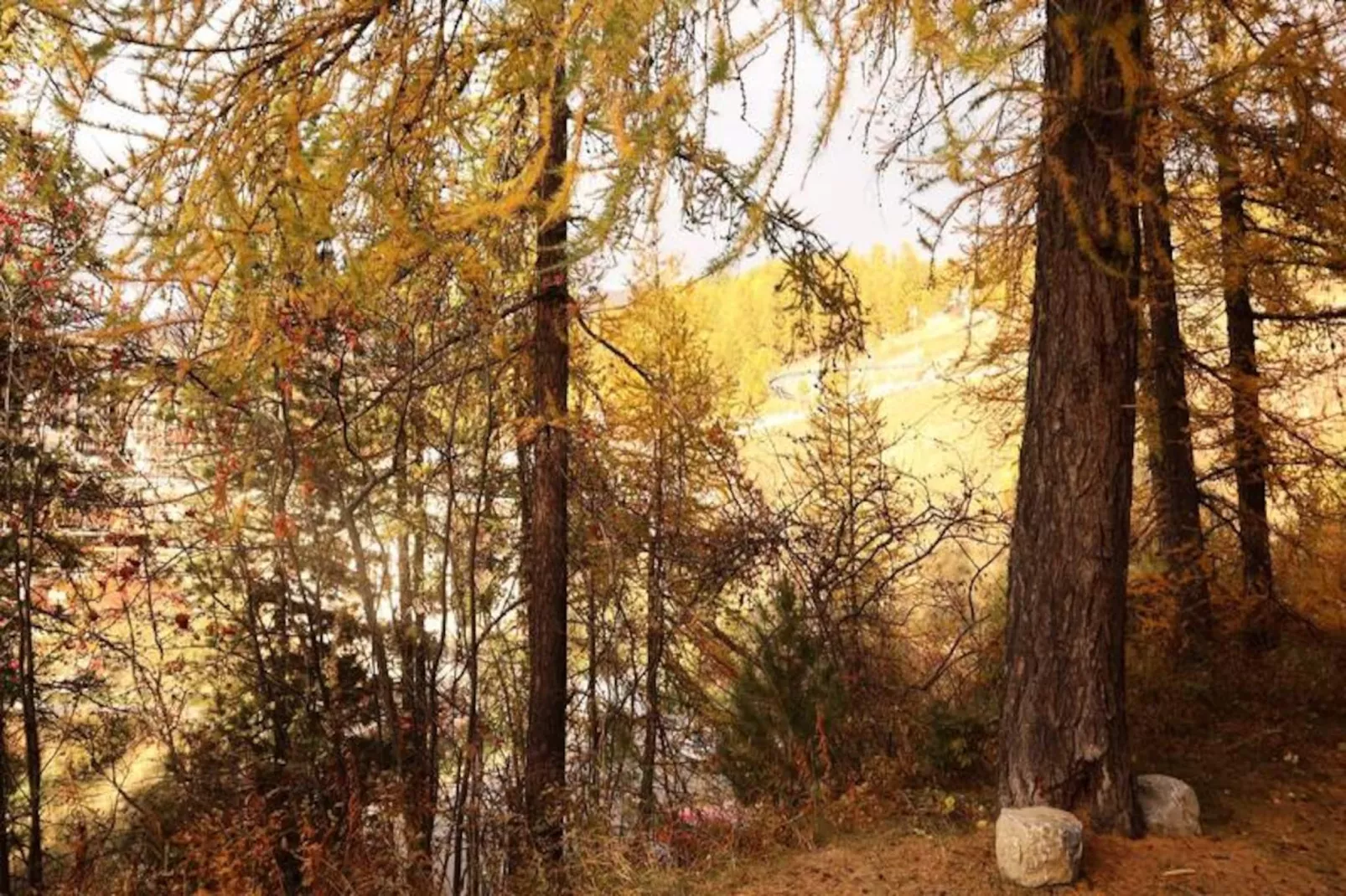 Résidence Le Pouzenc-Nicht zugeordnet