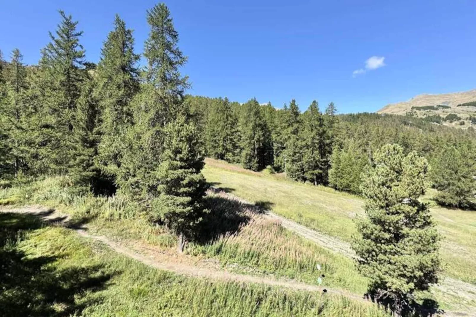 Résidence L'albane - Nicht zugeordnet