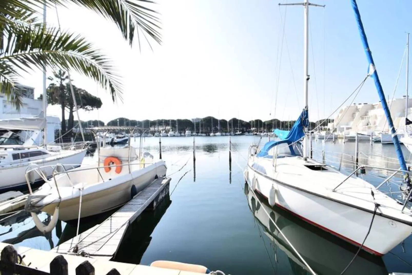 Résidence Les Suzannes-Non tagué