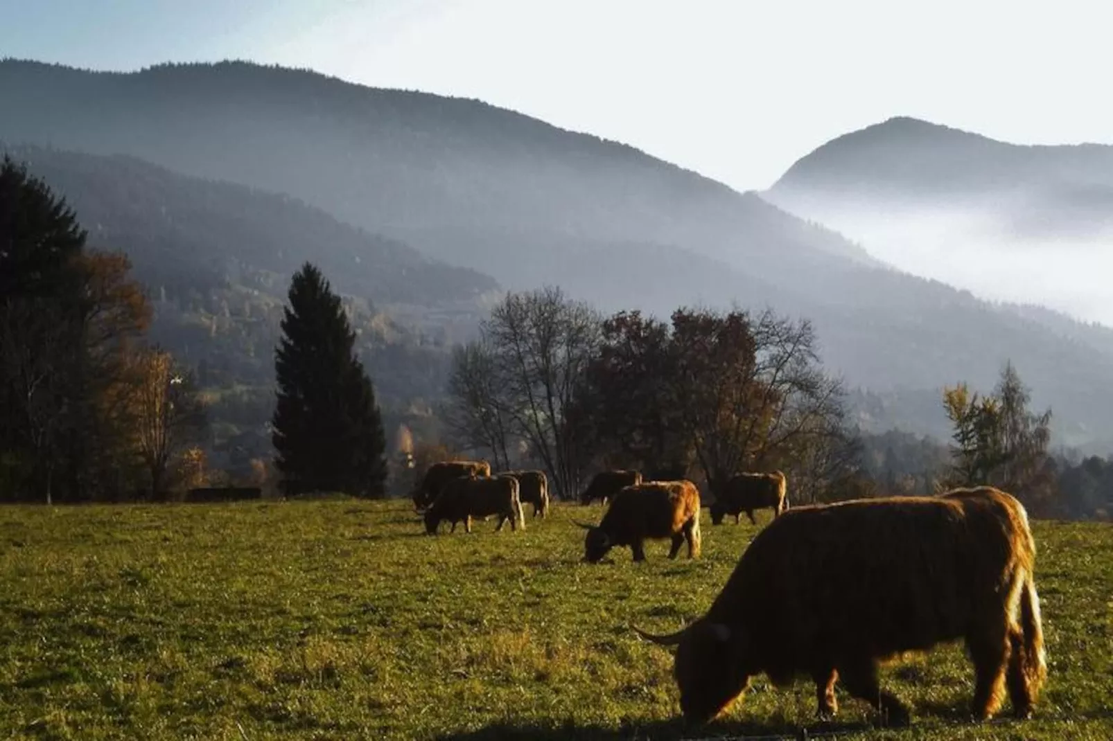 Résidence Les Villages du Bachat-Untagged