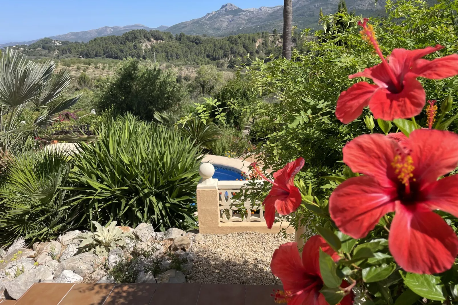 Villa Antonio Alto 4 pax-Exterior summer