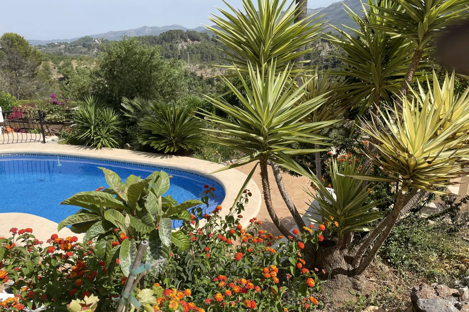 Villa Antonio Alto 4 pax-Pool