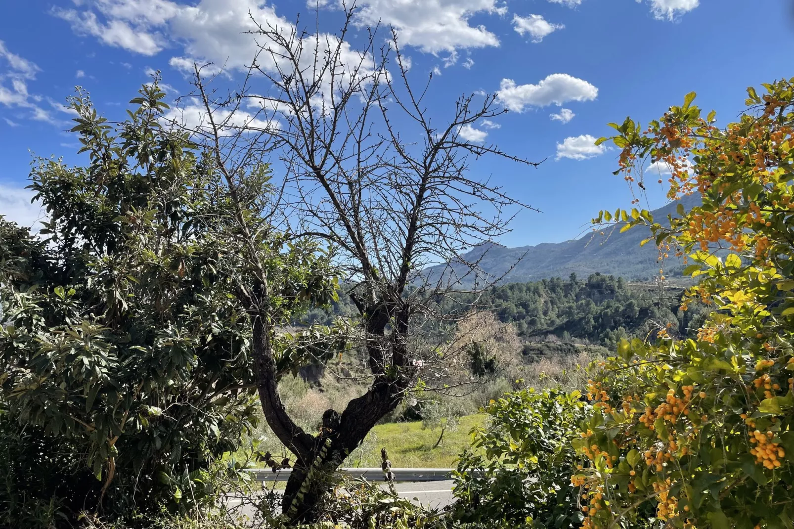 Villa Antonio Alto 4 pax-Areas summer 1km