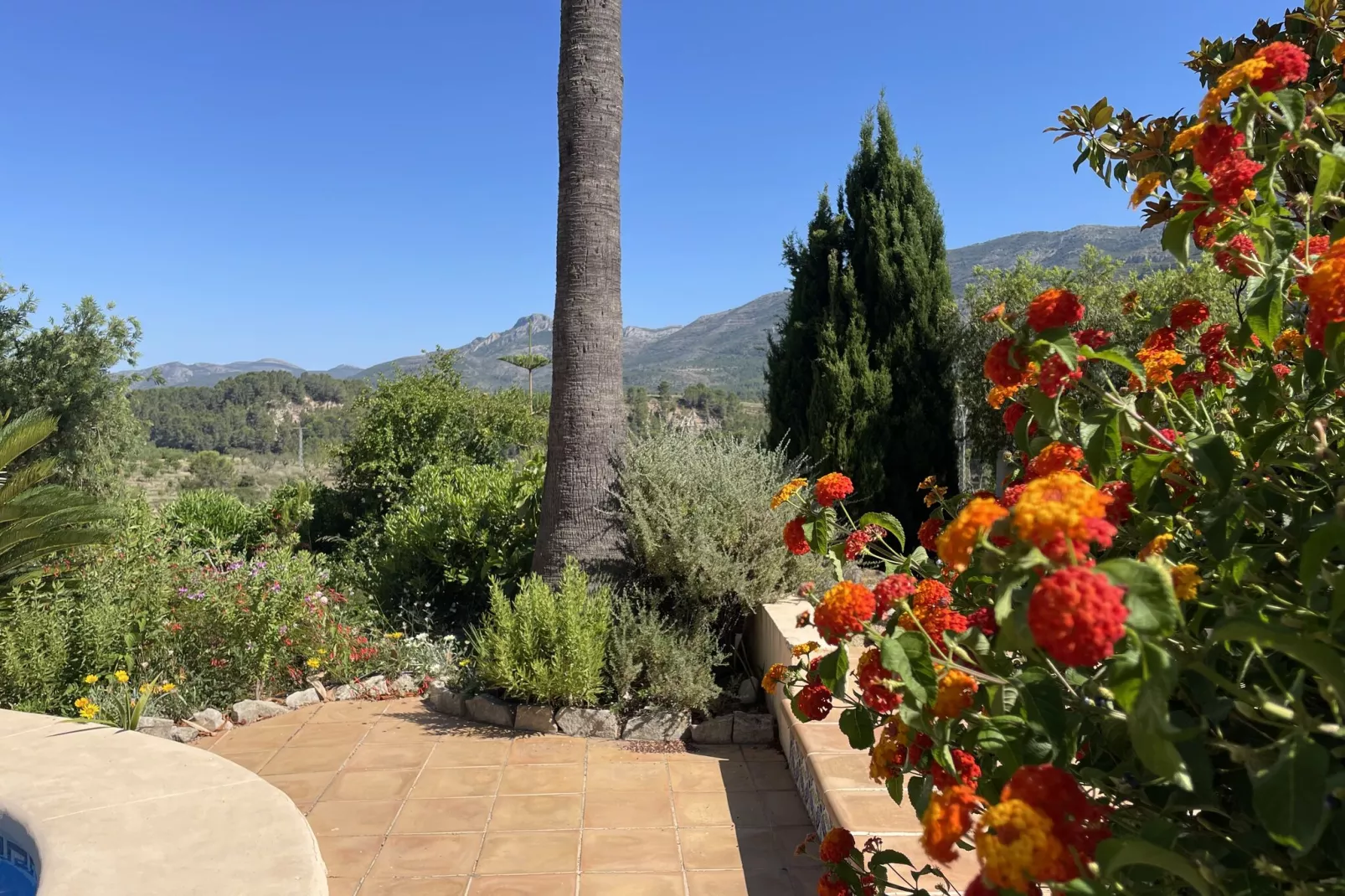 Villa Antonio Alto 4 pax-View summer