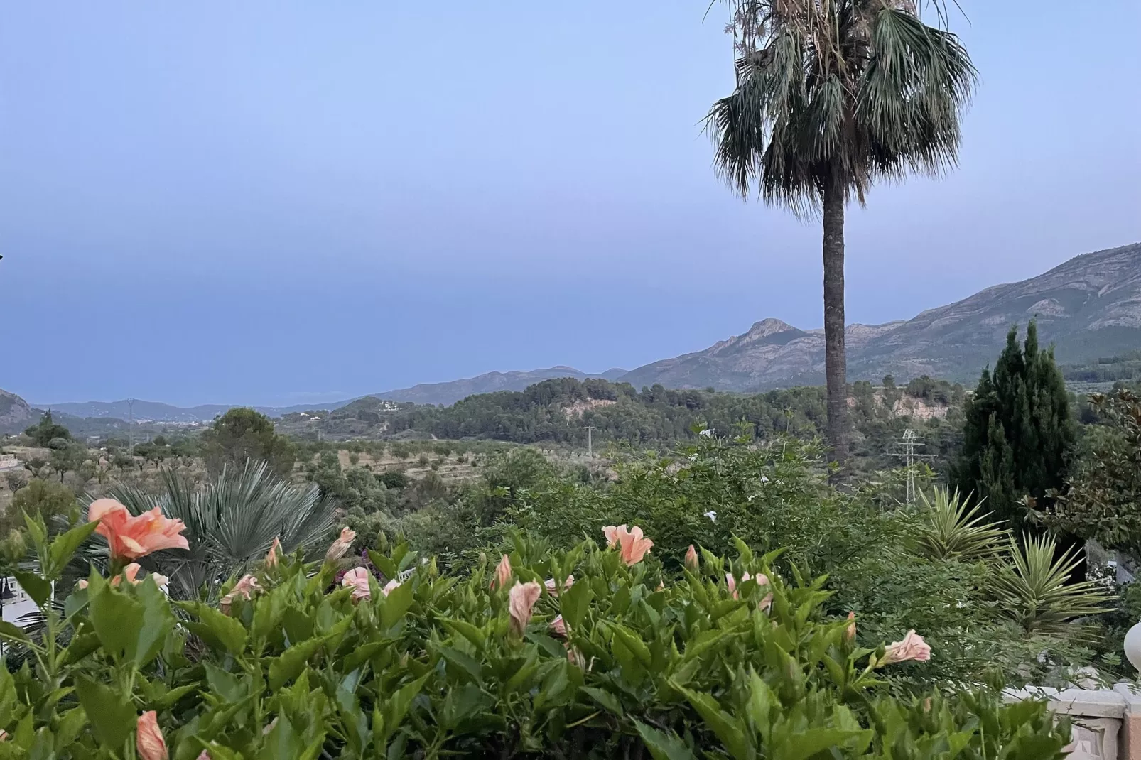 Villa Antonio Alto 4 pax-Areas summer 1km