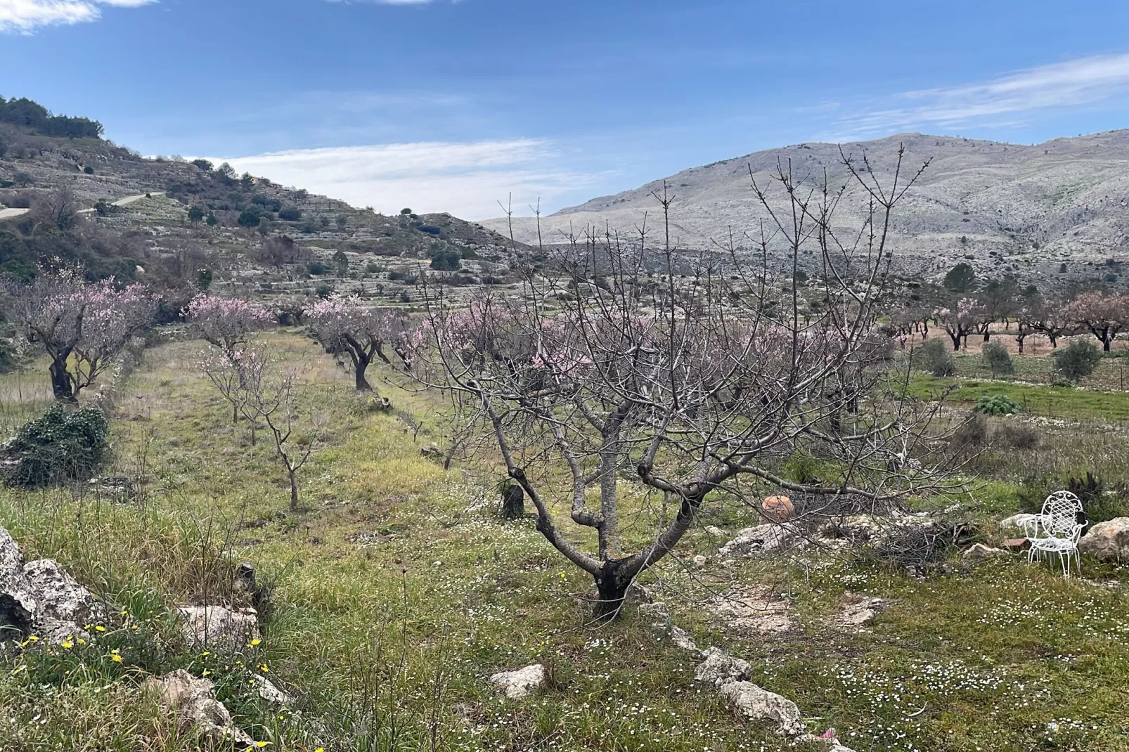 Villa Antonio Alto 4 pax-Area winter 1km