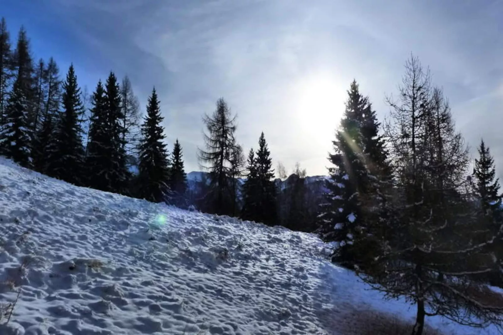 Résidence Grand Arbois - Non tagué