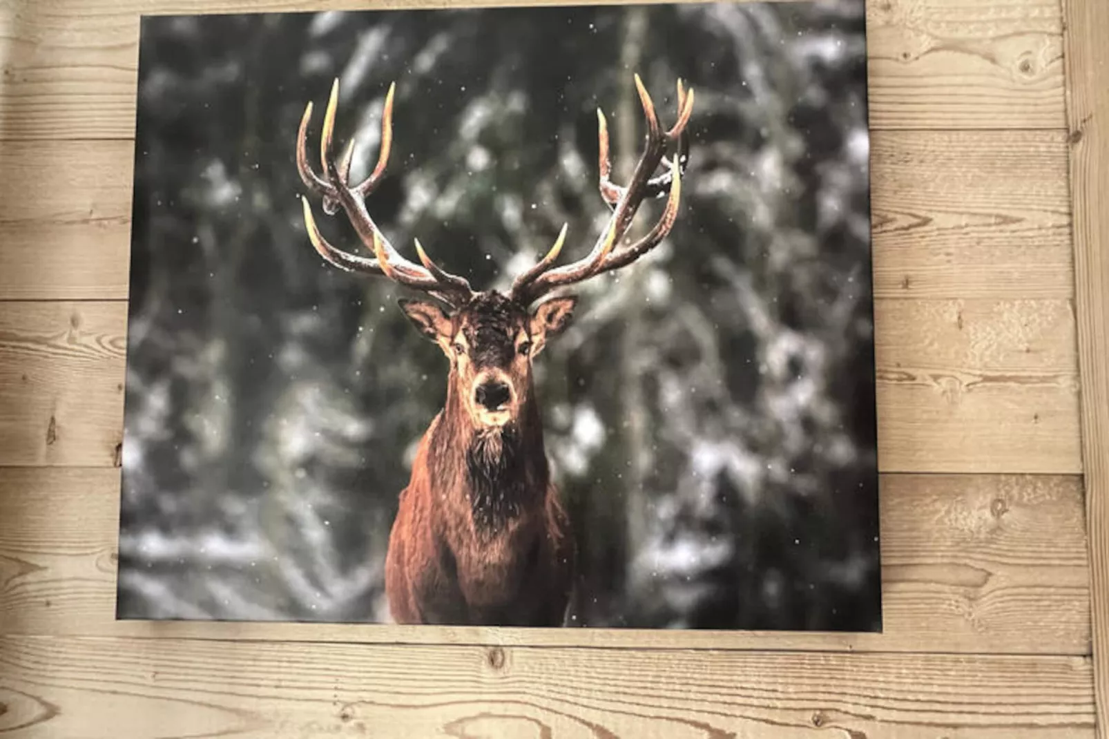 Studio à Les Carroz-d'Arâches-Untagged