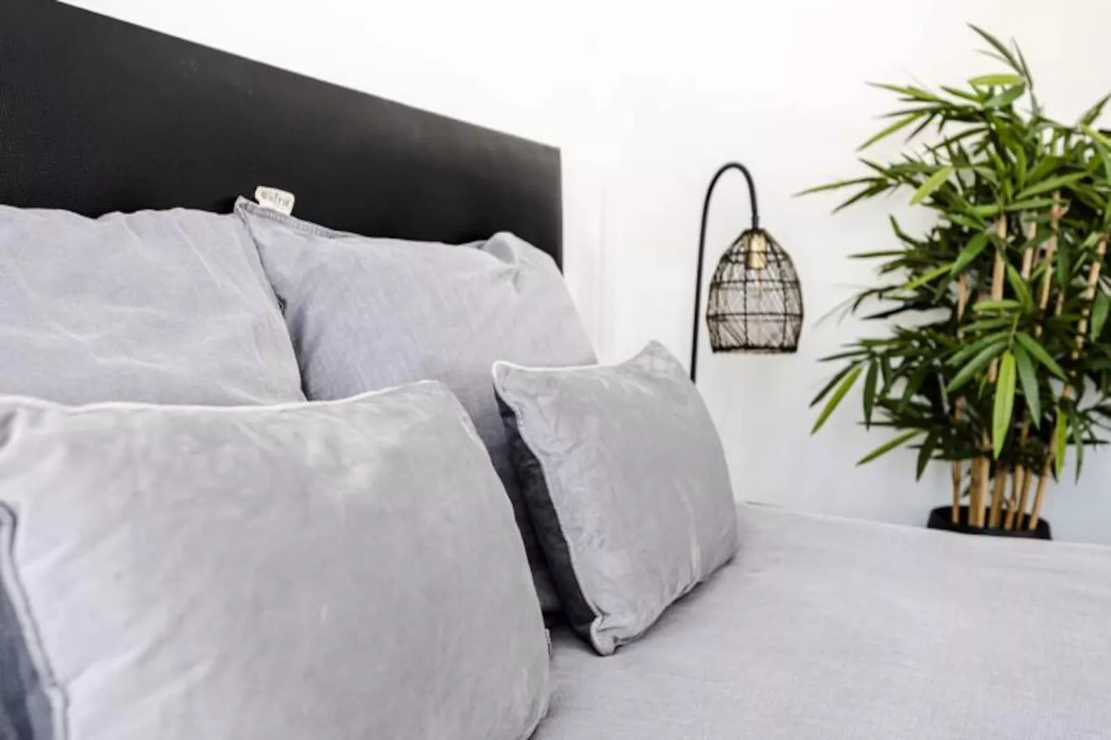 Beach And Dunes Studio-Untagged