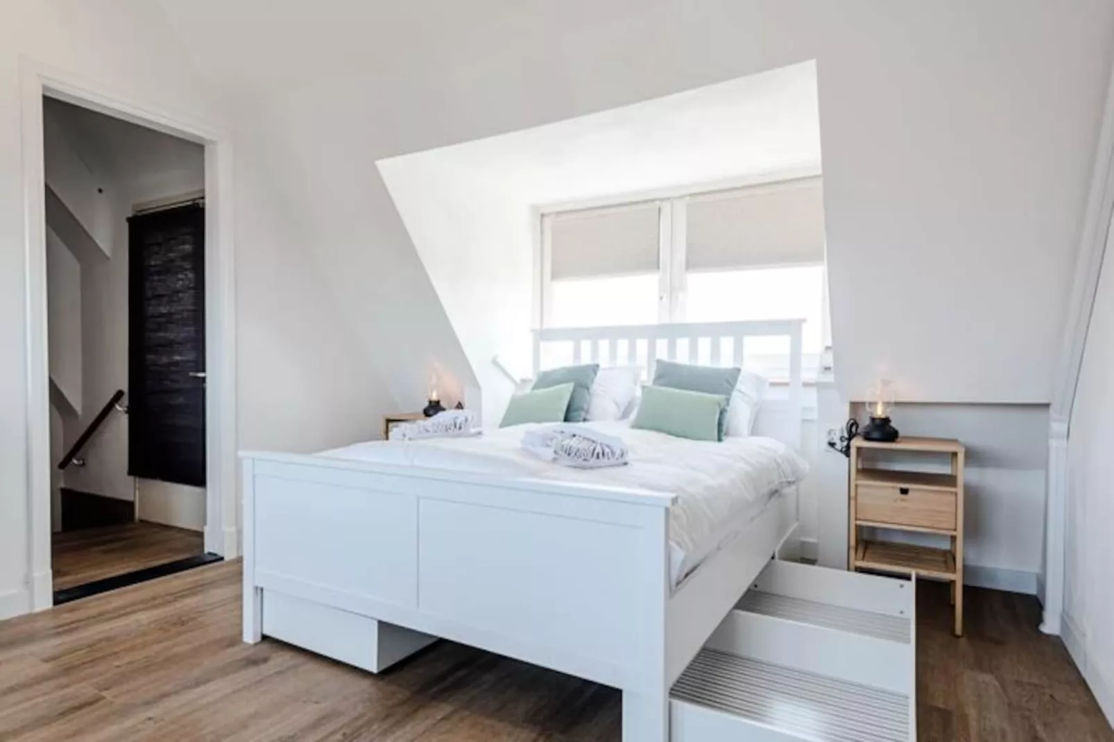 Albatros Aan Zee - Studio-Non tagué