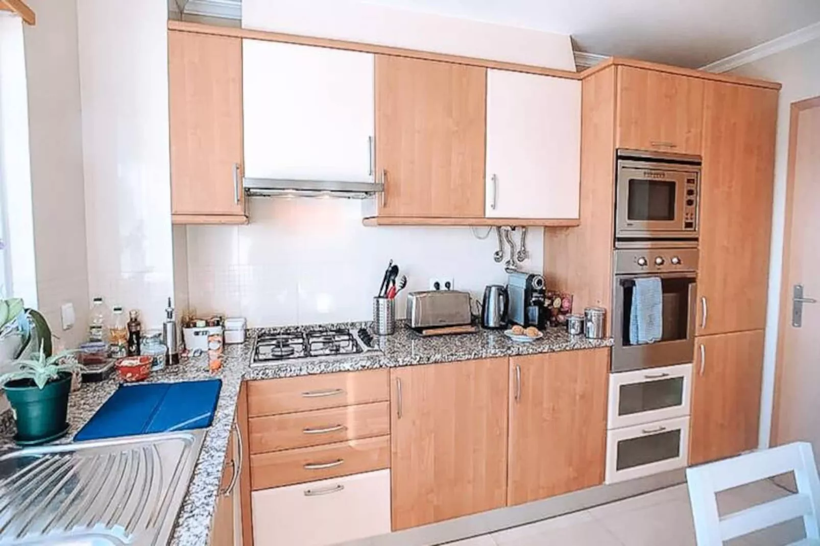 Plant Paradise Apartment-Nicht zugeordnet