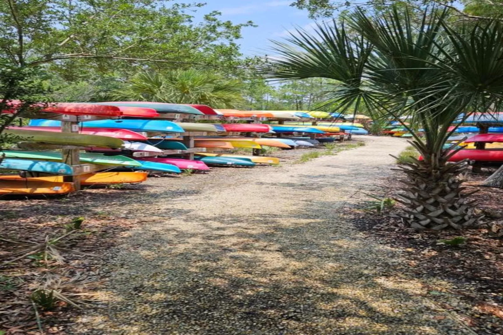 Résidence La Clé des Cimes 4-S8-Areas within 20km in summer