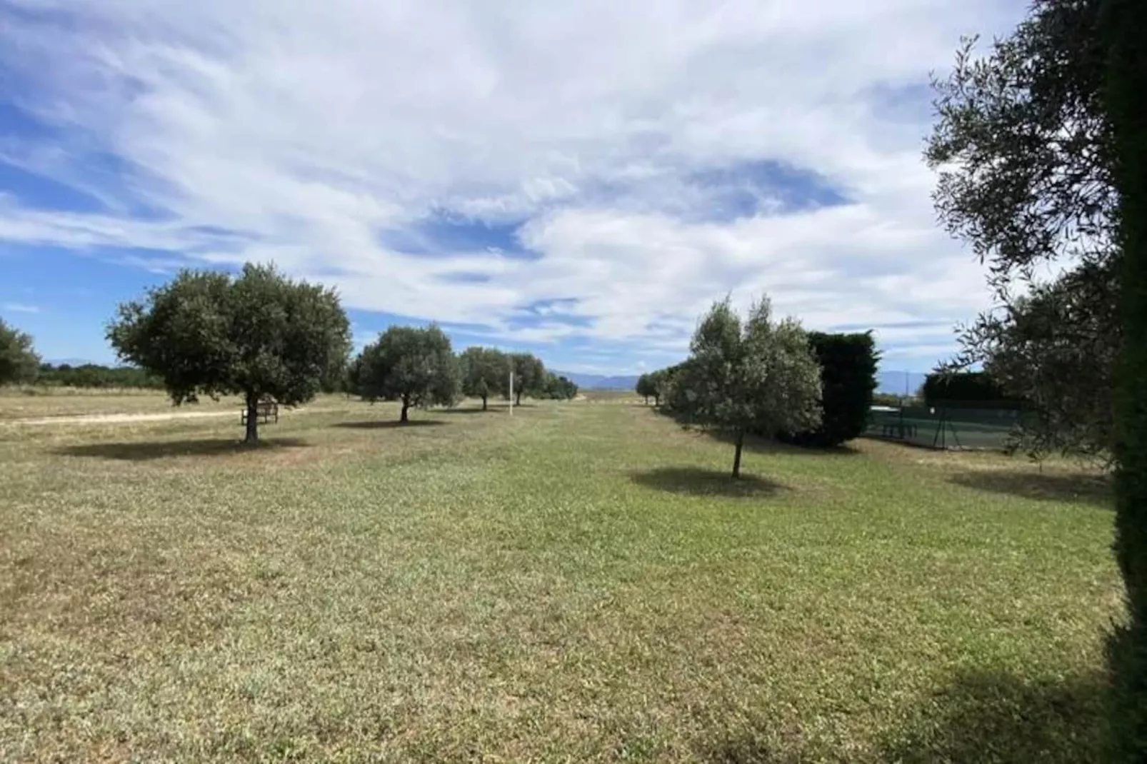 Magnifique Appartement Au C&oelig;ur Des Champs De Lavande - 6 - 7 Personnes-Non tagué