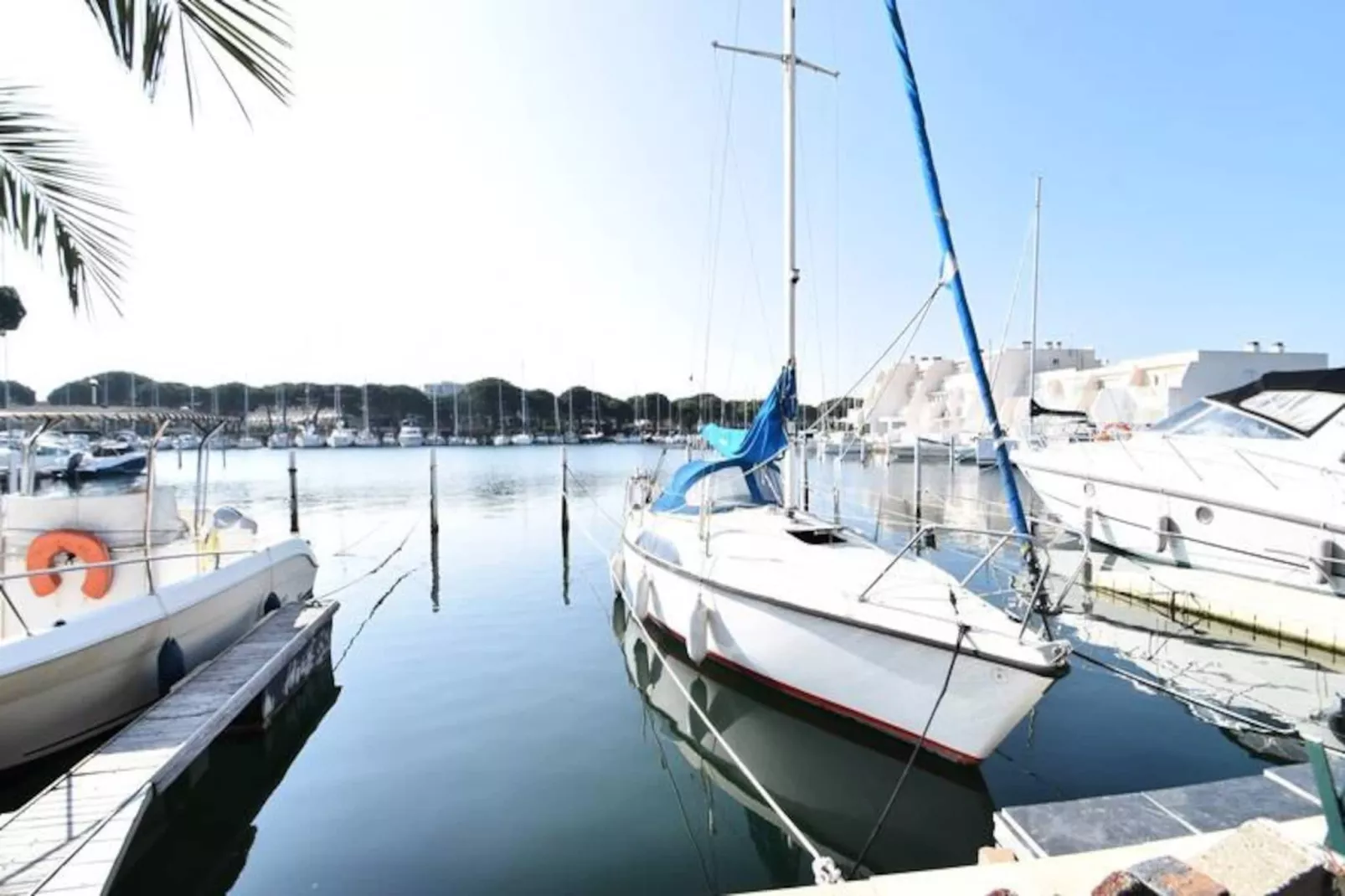 Résidence Les Suzannes-Non tagué