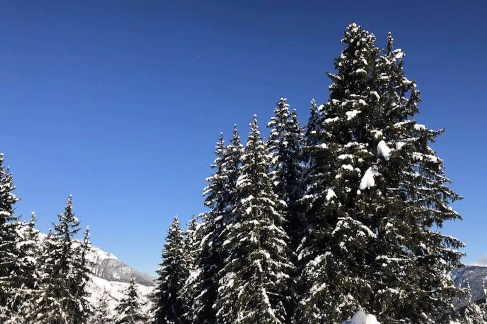 Résidence Lisiere-Untagged