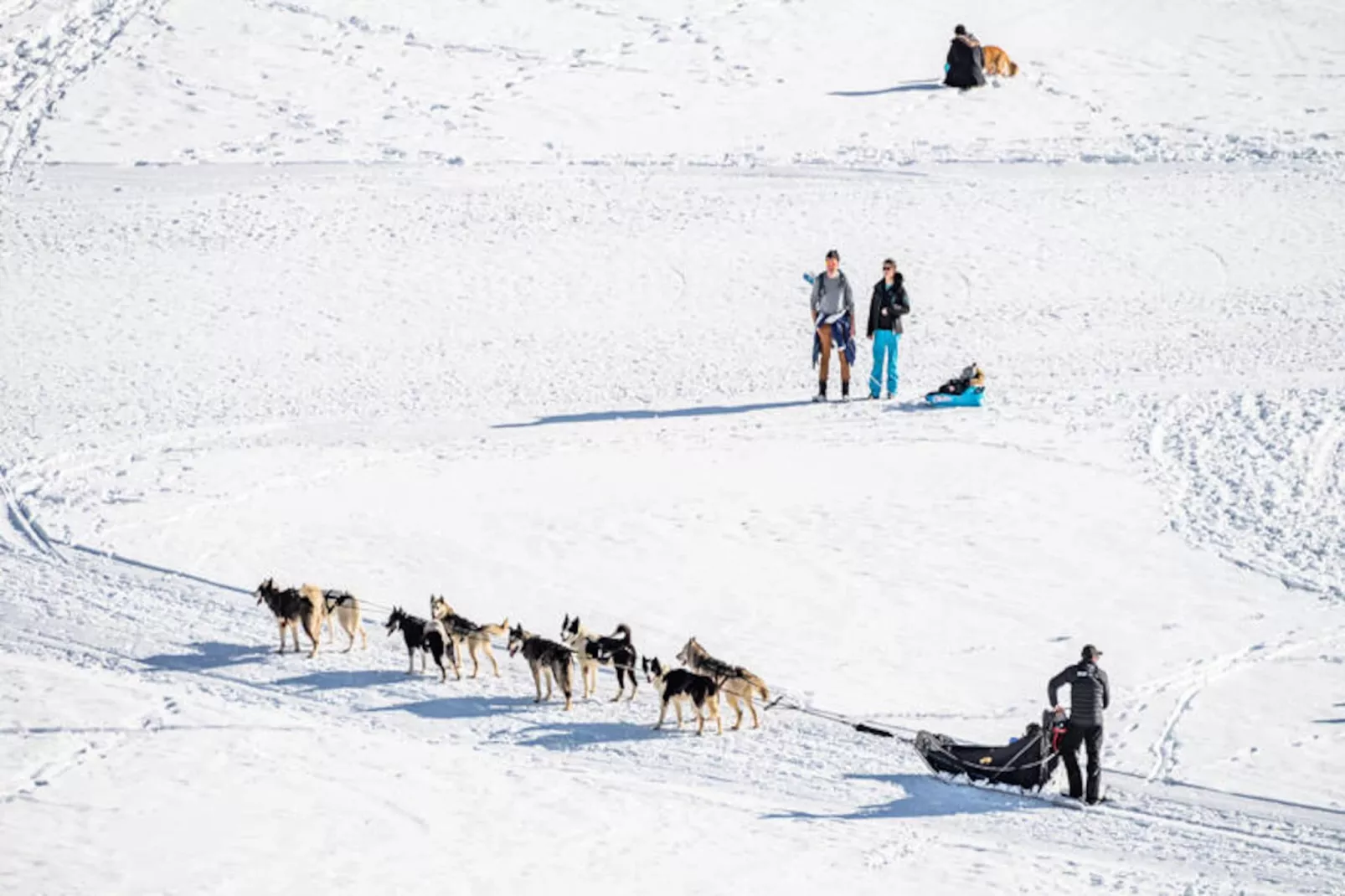 Résidence Armaillis-Untagged