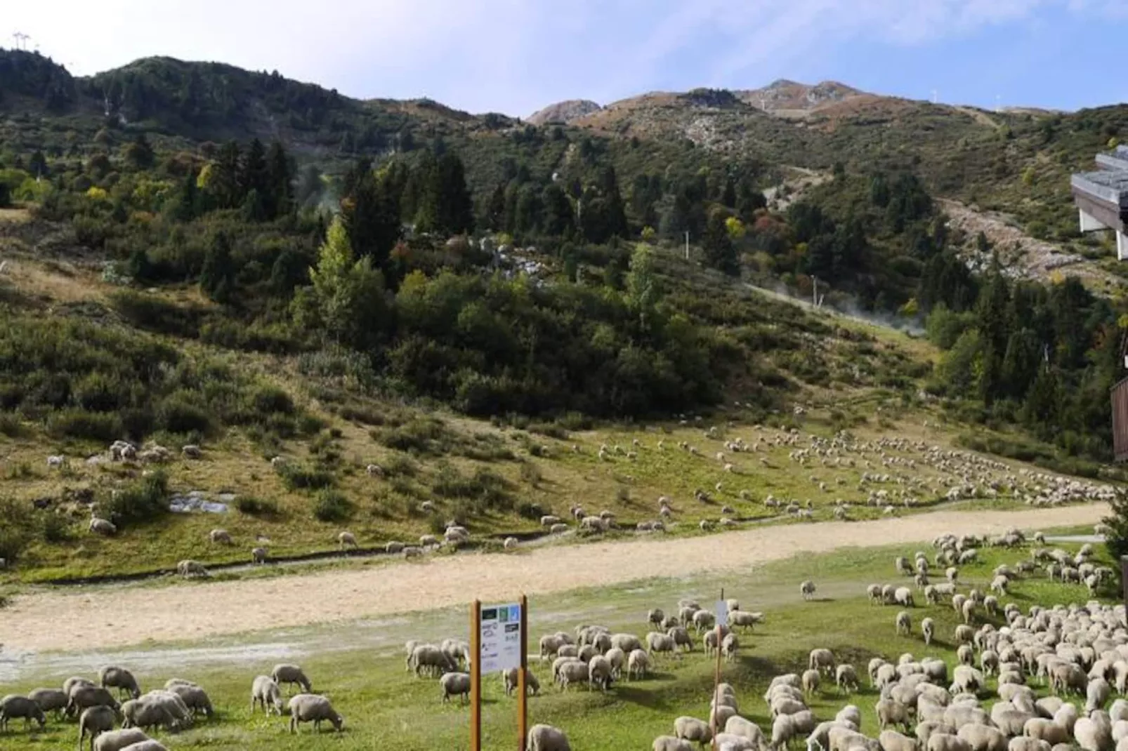 Résidence Candide-Untagged