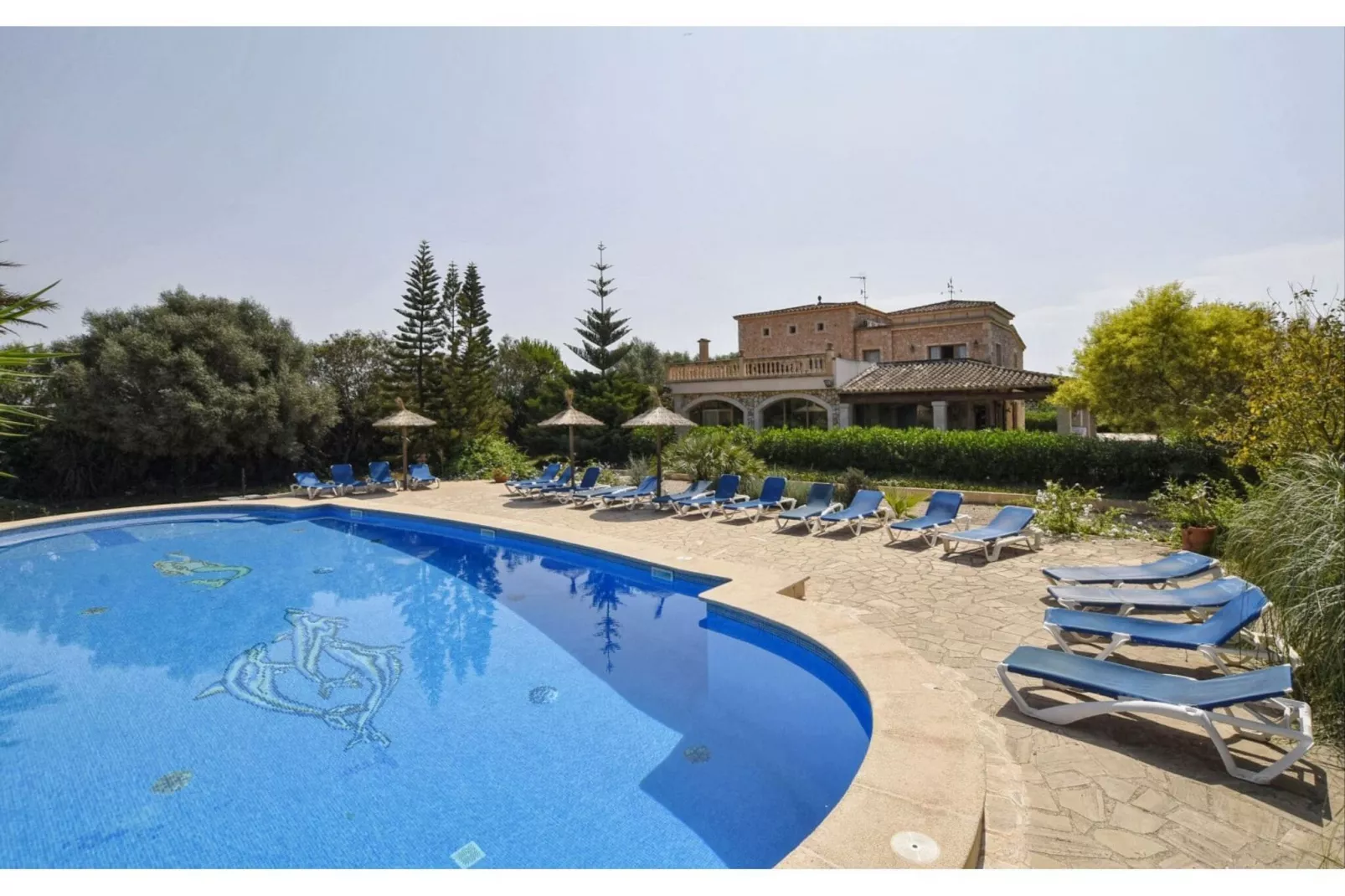 Napont-Pool