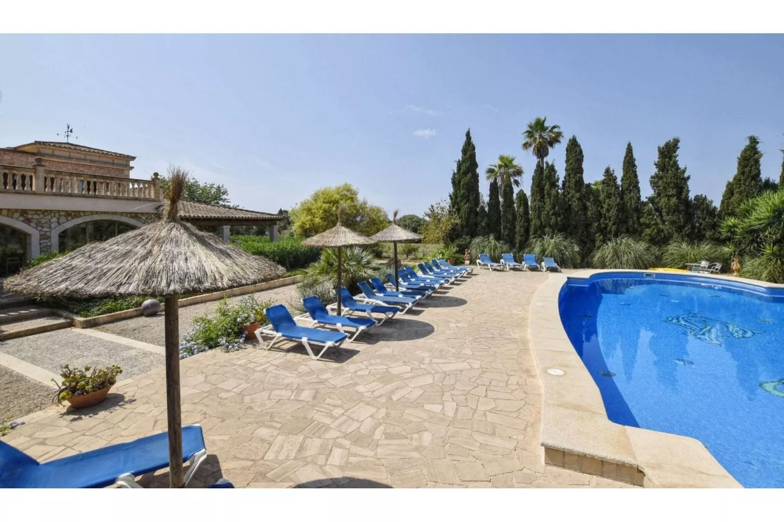 Napont-Pool