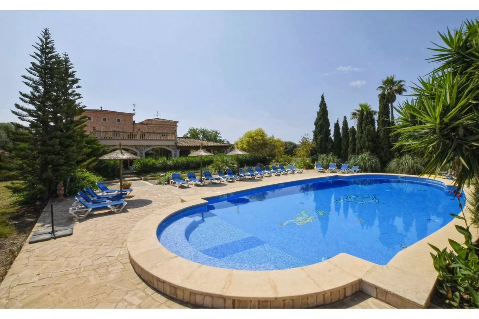 Napont-Pool