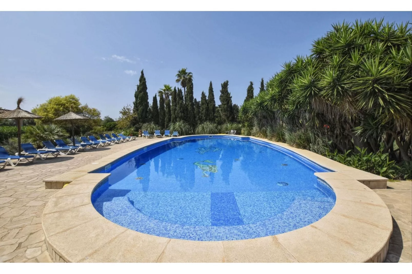 Napont-Pool